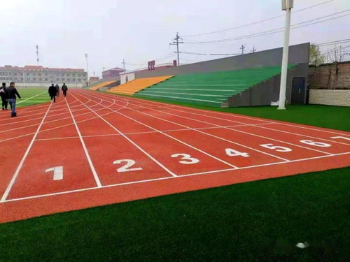 《學校運動場地合成材料面層推薦目錄（2021-2022）》產品展播 塑膠場地預制型跑道卷材